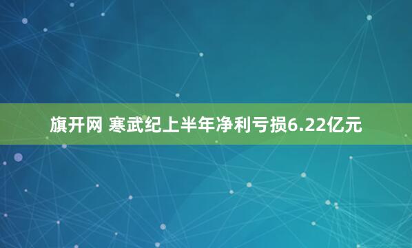 旗开网 寒武纪上半年净利亏损6.22亿元